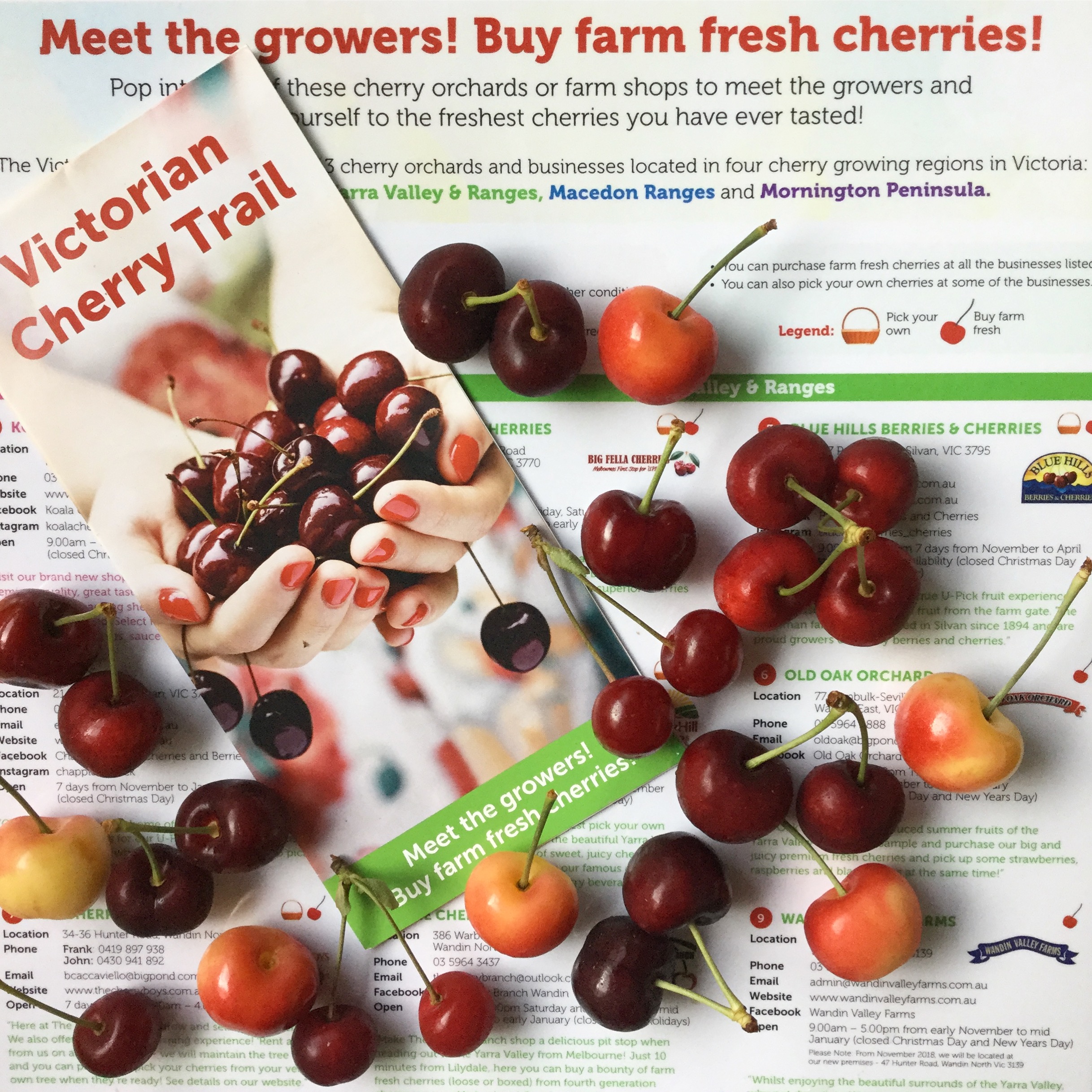 Cherry trail brochure