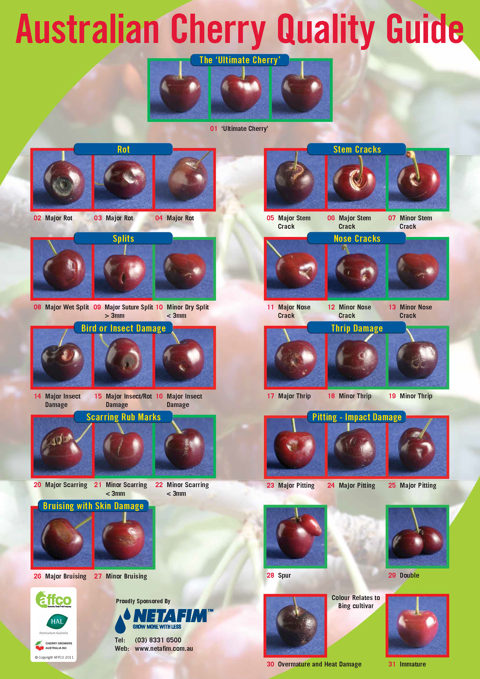 Cherry quality poster
