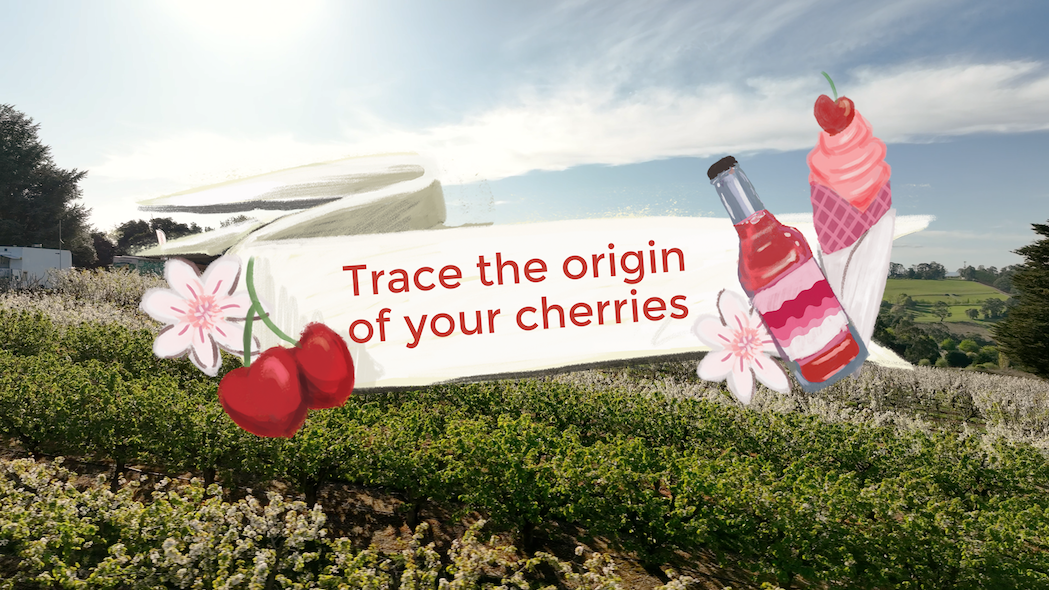 Trace the origin of your cherries consumer video
