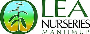 Logo - Olea nurseries