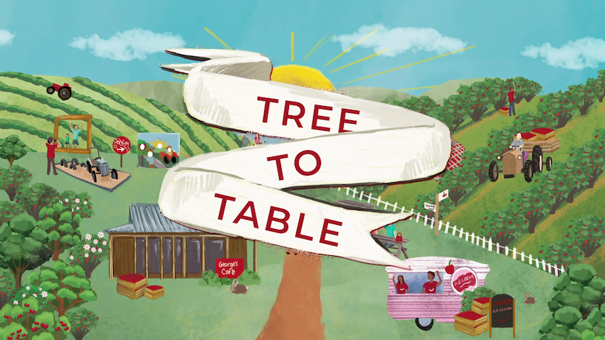 Cherry Traceability Tree to Table Animation Video